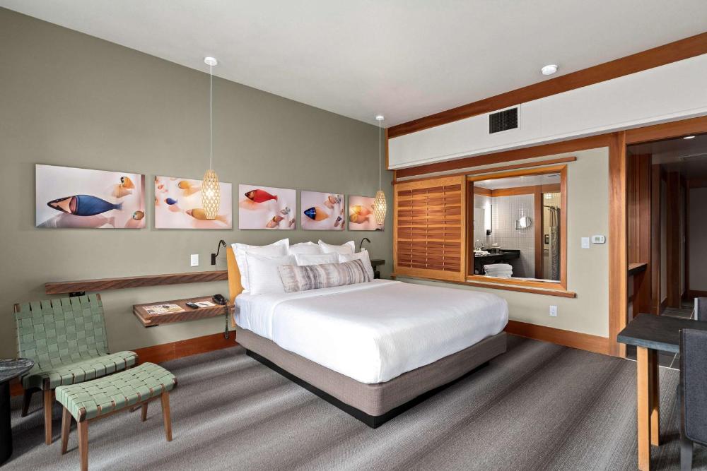 King Room interior
